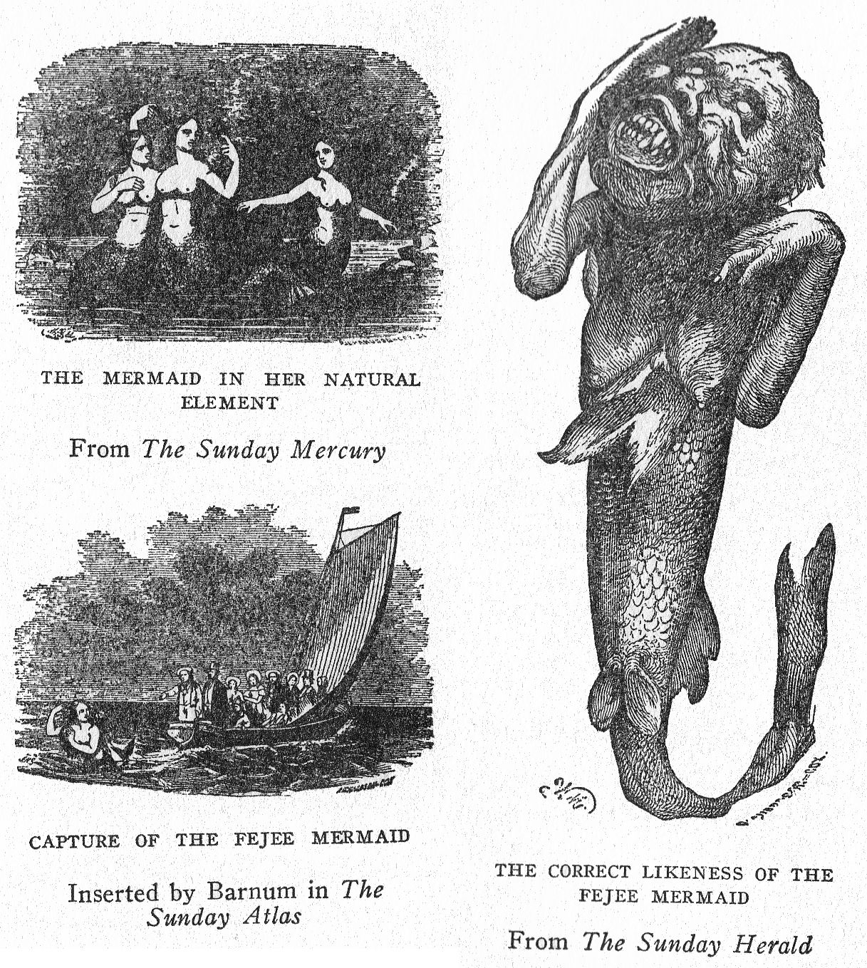 http://messybeast.com/captive-animals/1923-werner-3.jpg