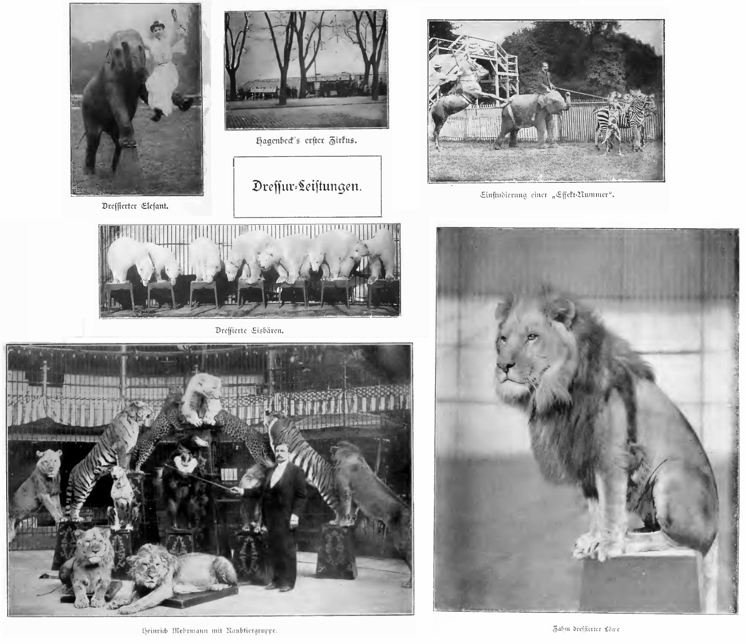 HAGENBECK - ANIMALS AND PEOPLE (1909)