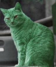 greencats