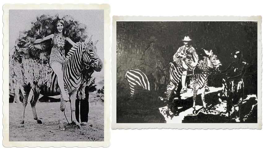 riding zebra in africa