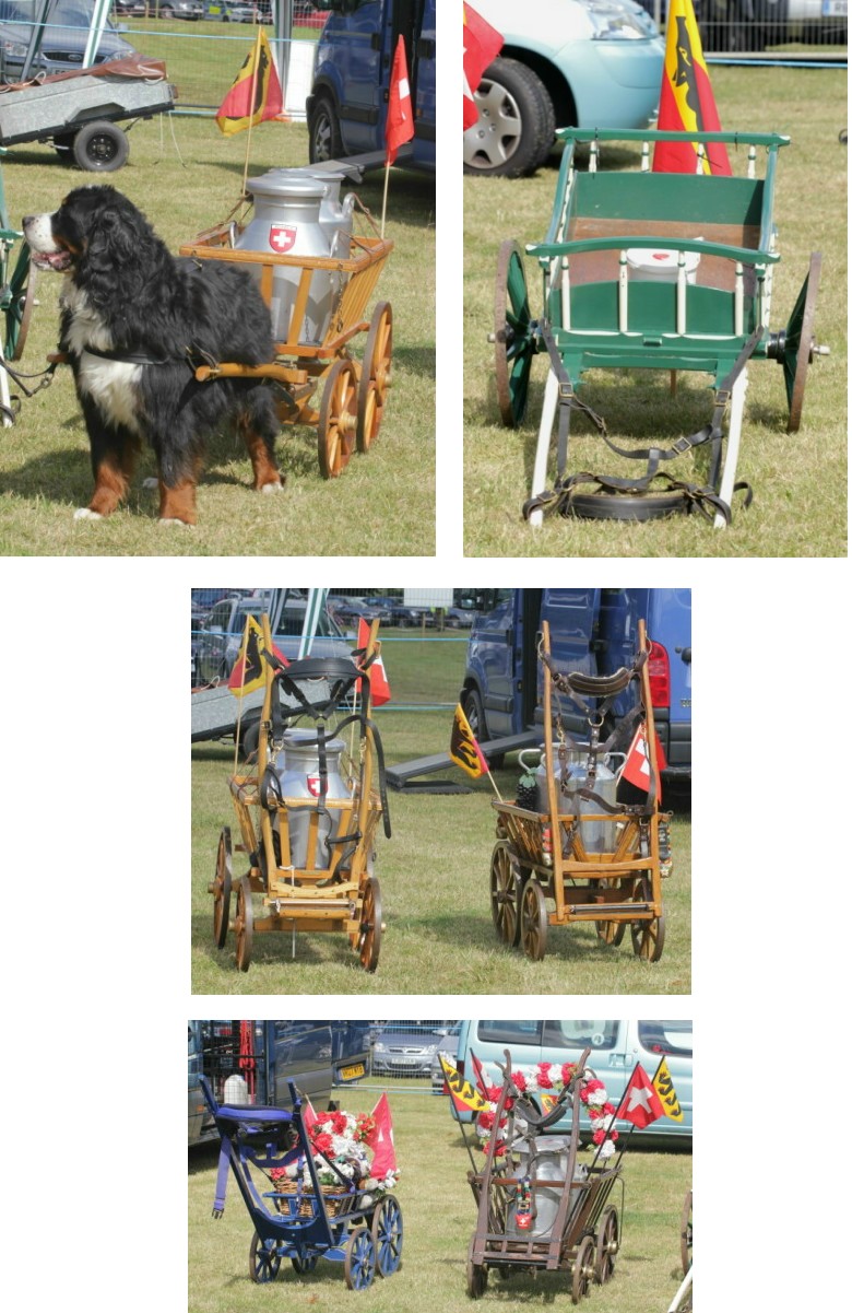 DOGCARTS & LIONCARTS