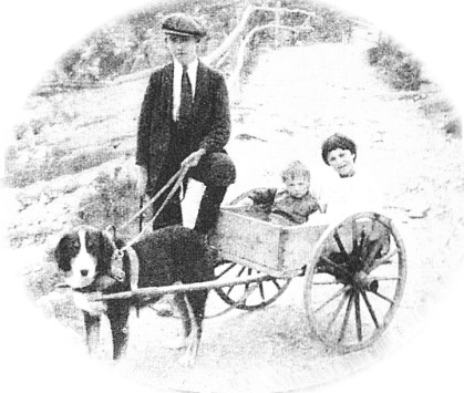 Dogcart (dog-drawn) - Wikipedia