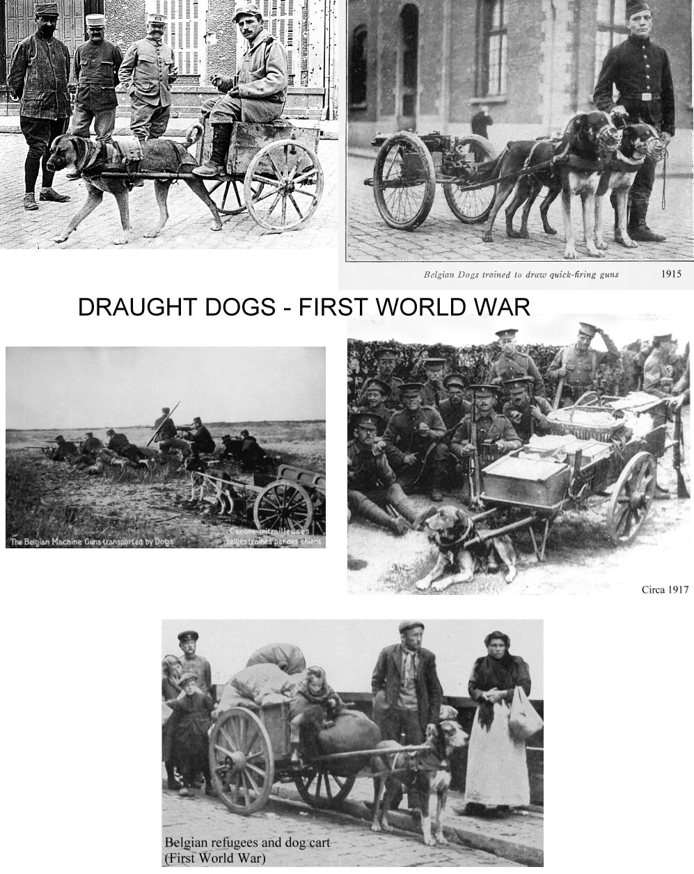 DOGCARTS & LIONCARTS