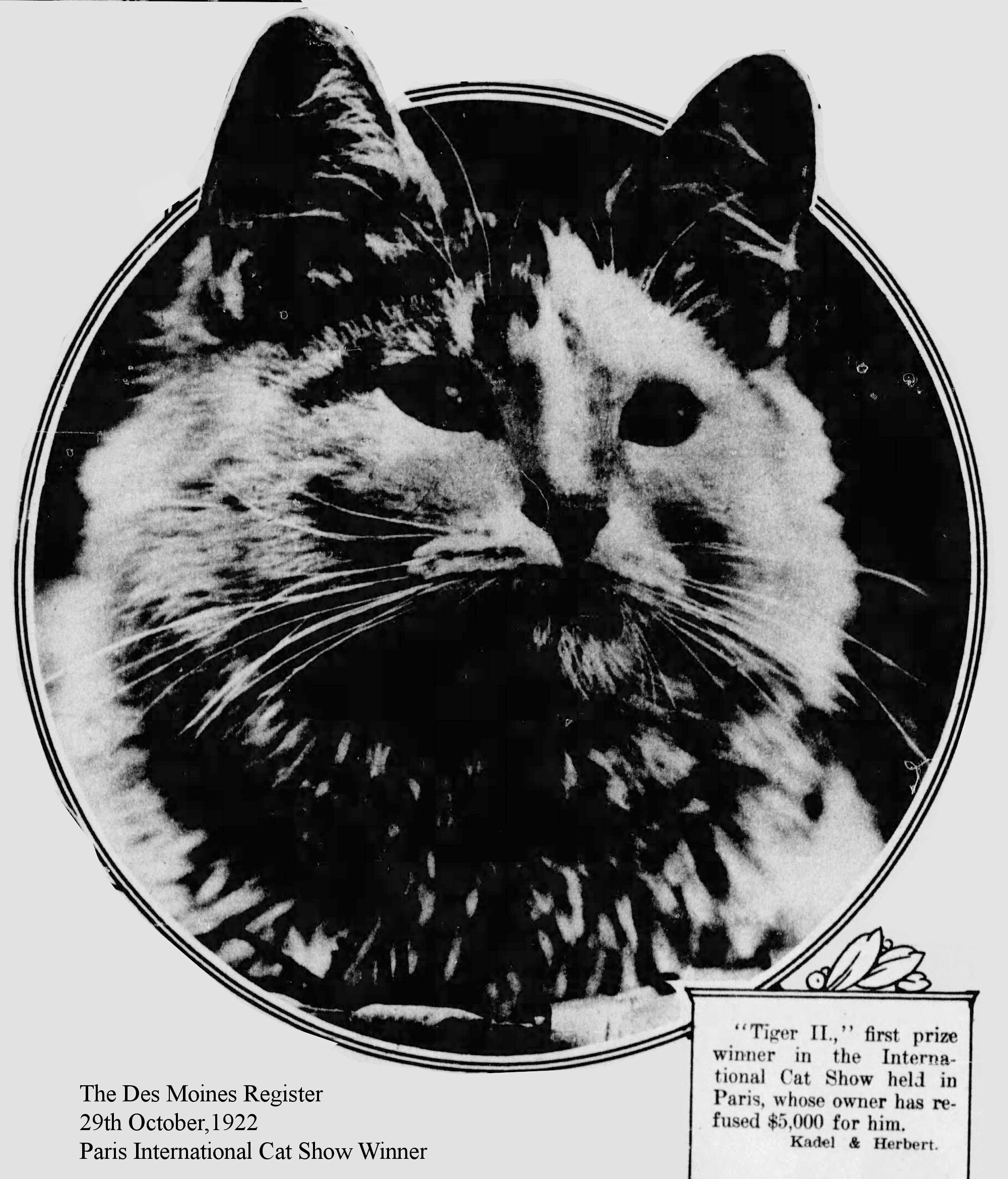 1922 paris cat show