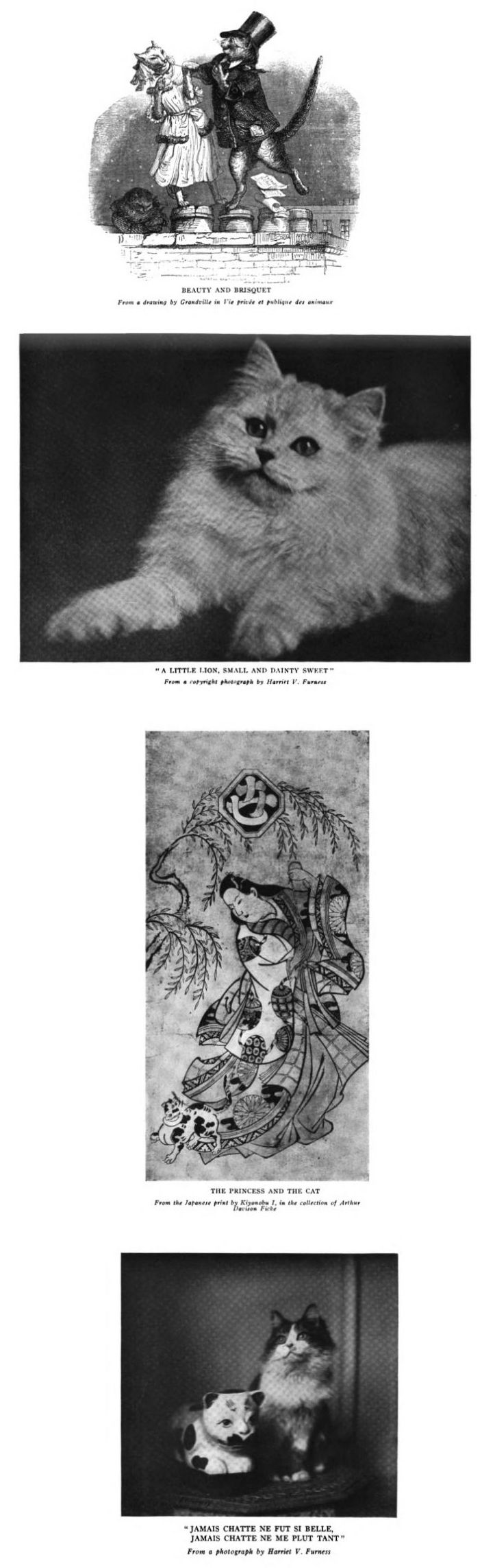 Primitive KITTEN CAT cloth Animal DOLL 1892 repro Litho MINI Pillow PRIM 