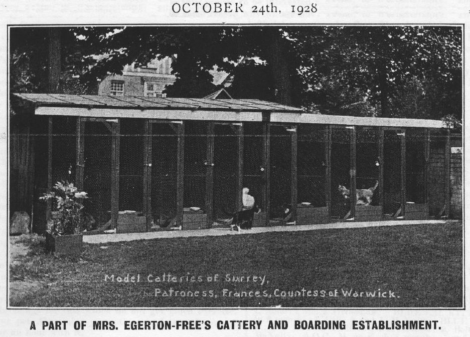 boarding cattery 1928