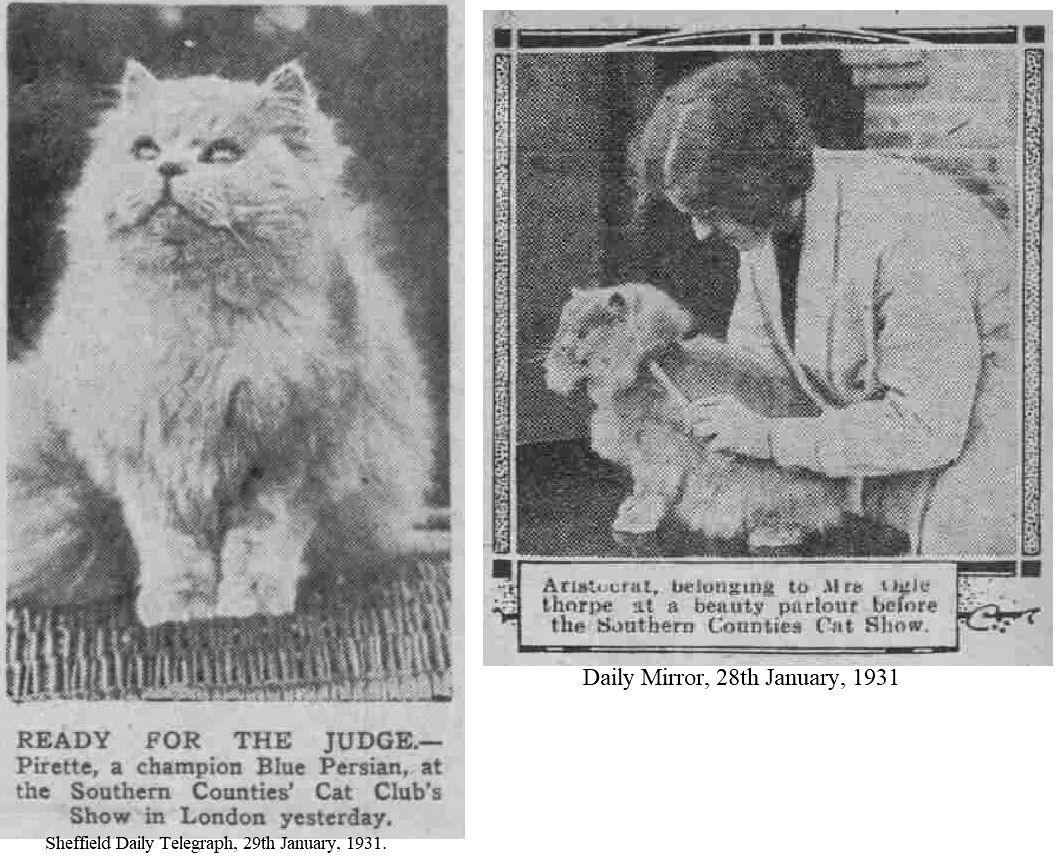 Ginger Cat, 1931