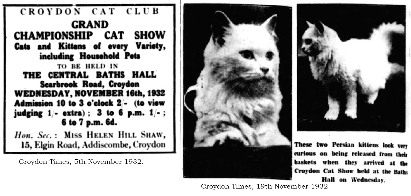 croydon cat show