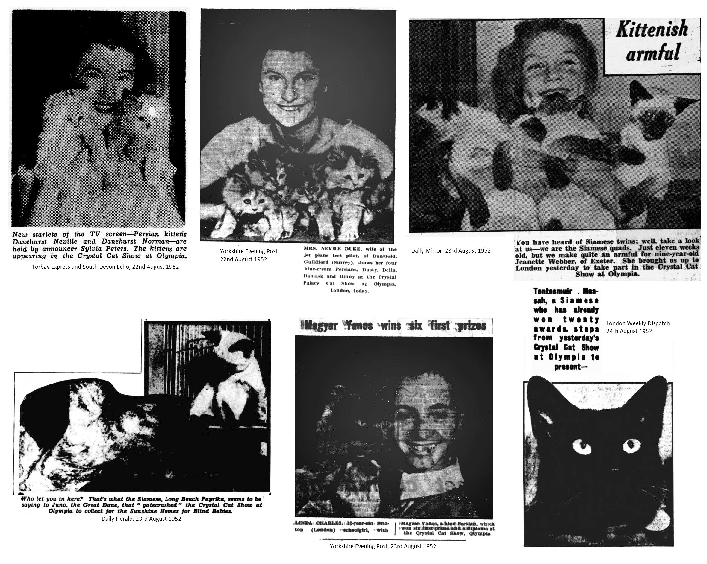 REPORTS FROM THE EARLY BRITISH CAT SHOWS 1952