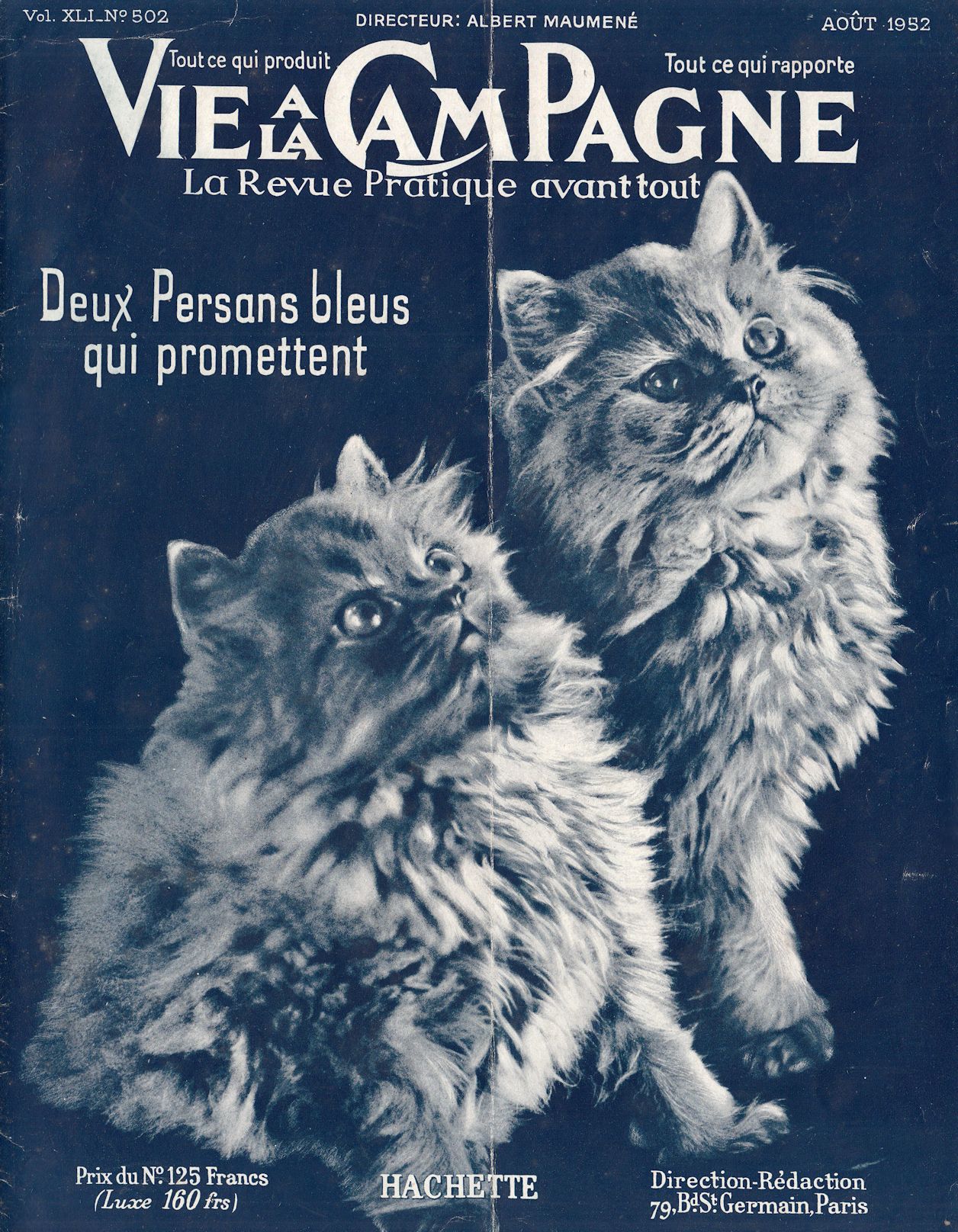 Cats, Vie a a Campagne