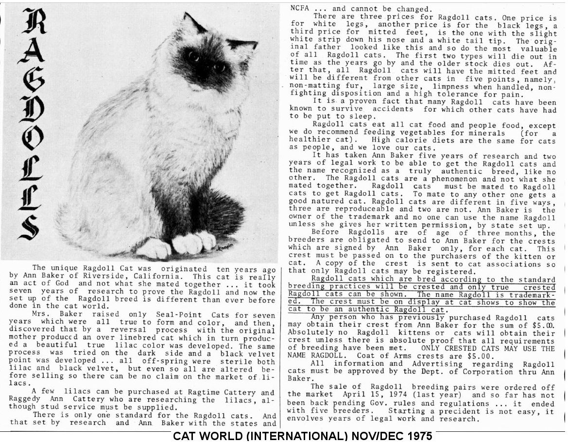 Ragdoll cat: some believed that aliens have contributed to its