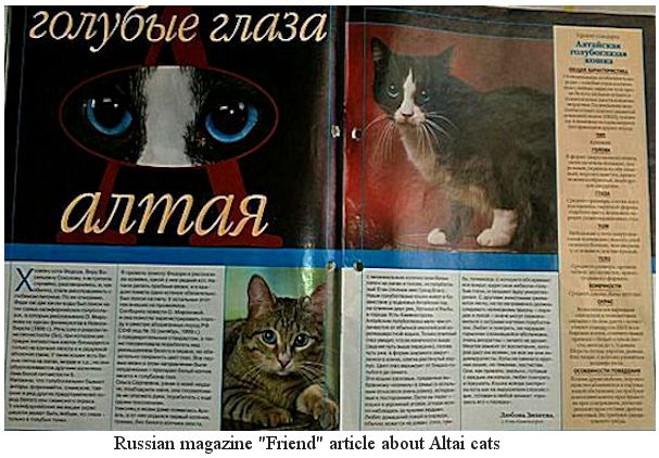 Altai random mutation cats
