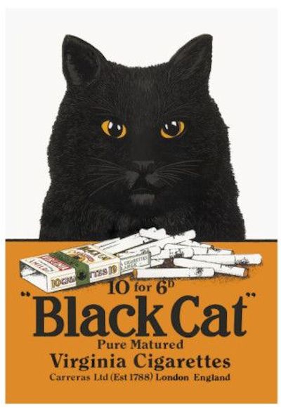 cat advertisements