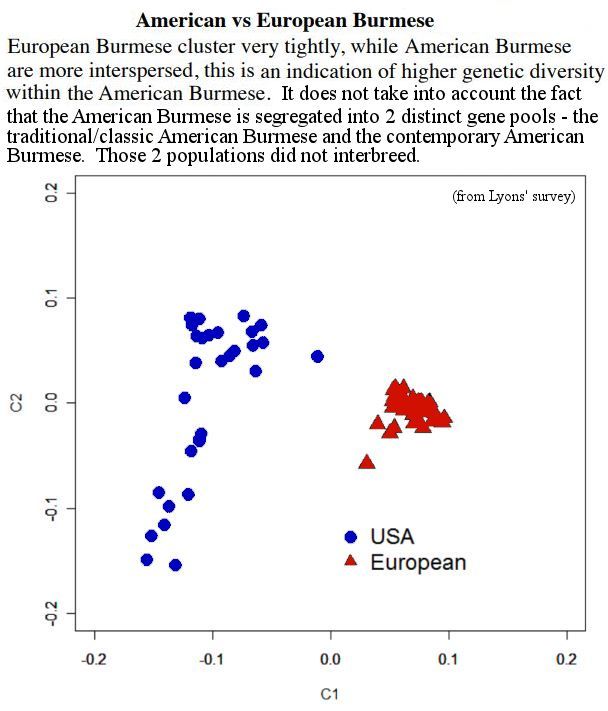 Burmese genetic diversity