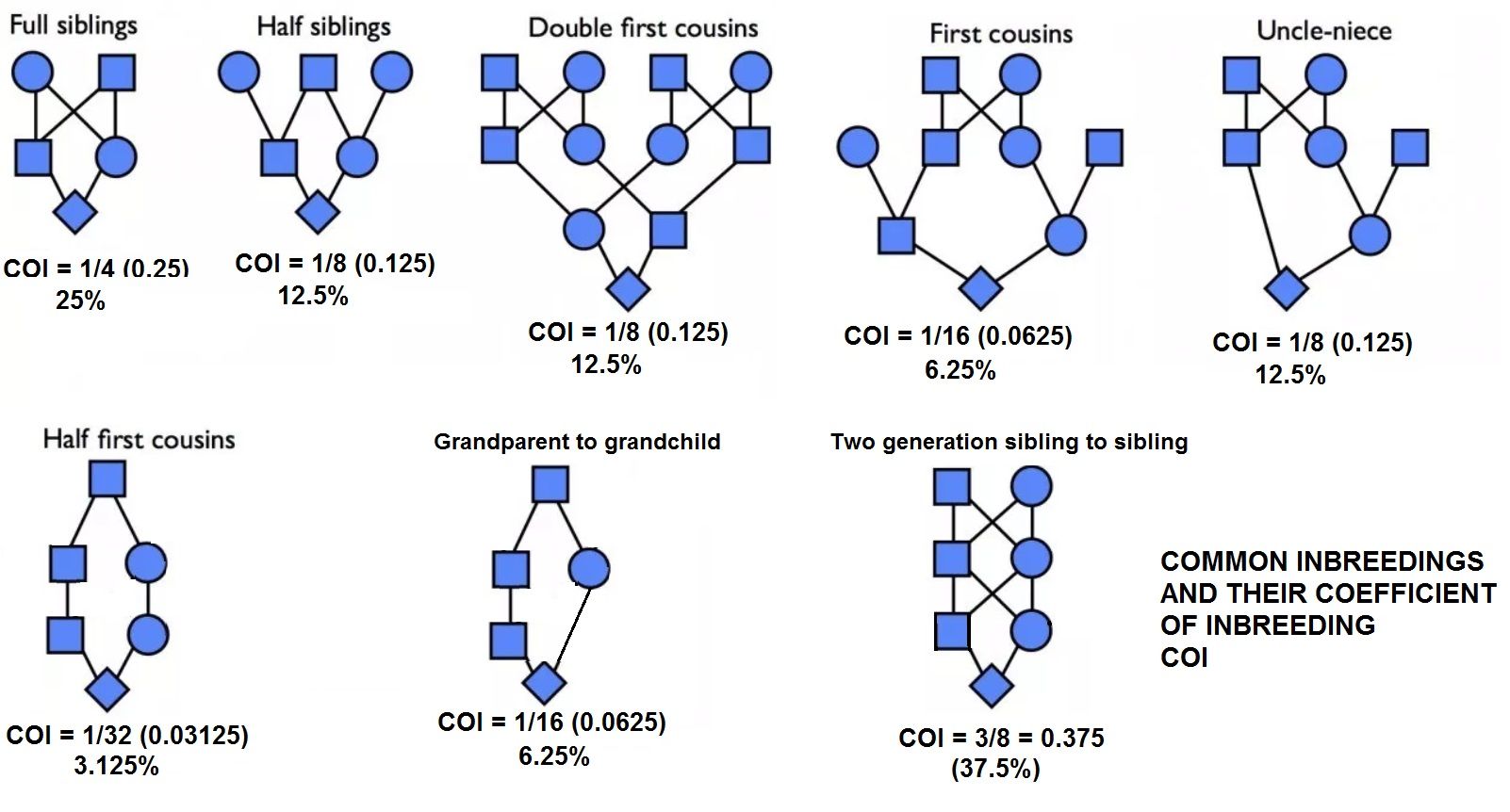 What Is An Acceptable Inbreeding Coefficient TOP