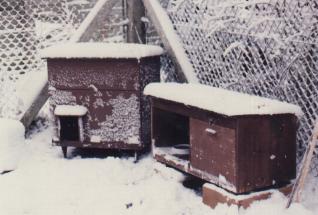 bomber cat wwii shelter