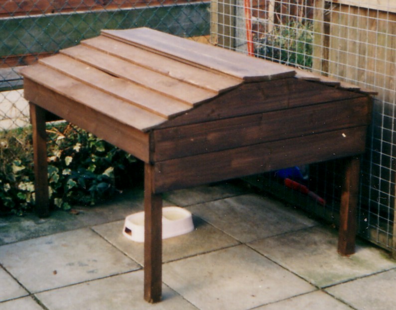 outdoor cat shelter