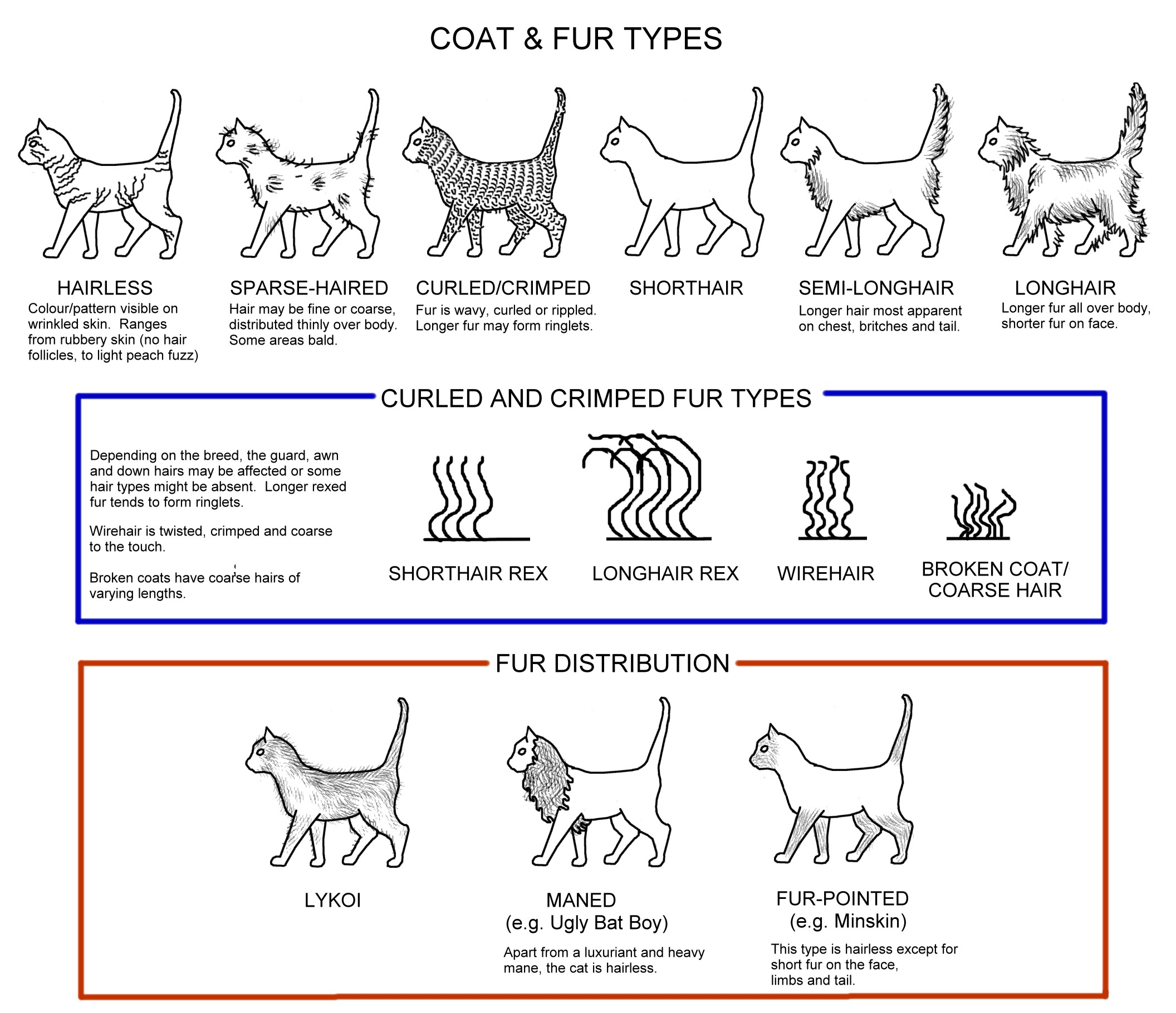 Cat fur coat on sale types