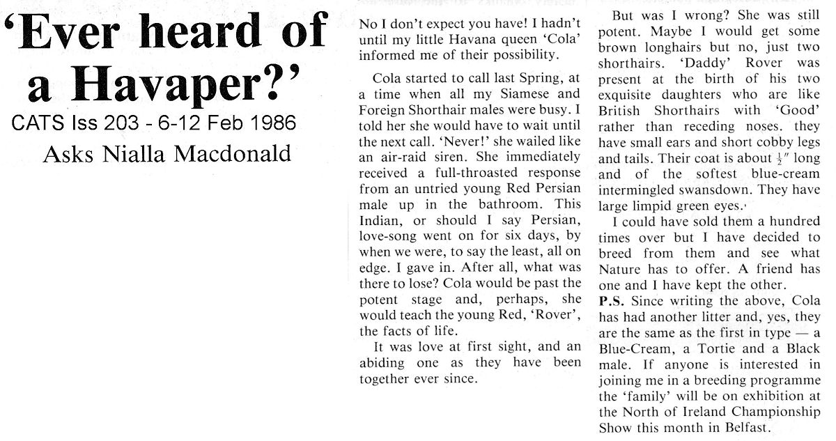 havaper breed from the 1980s