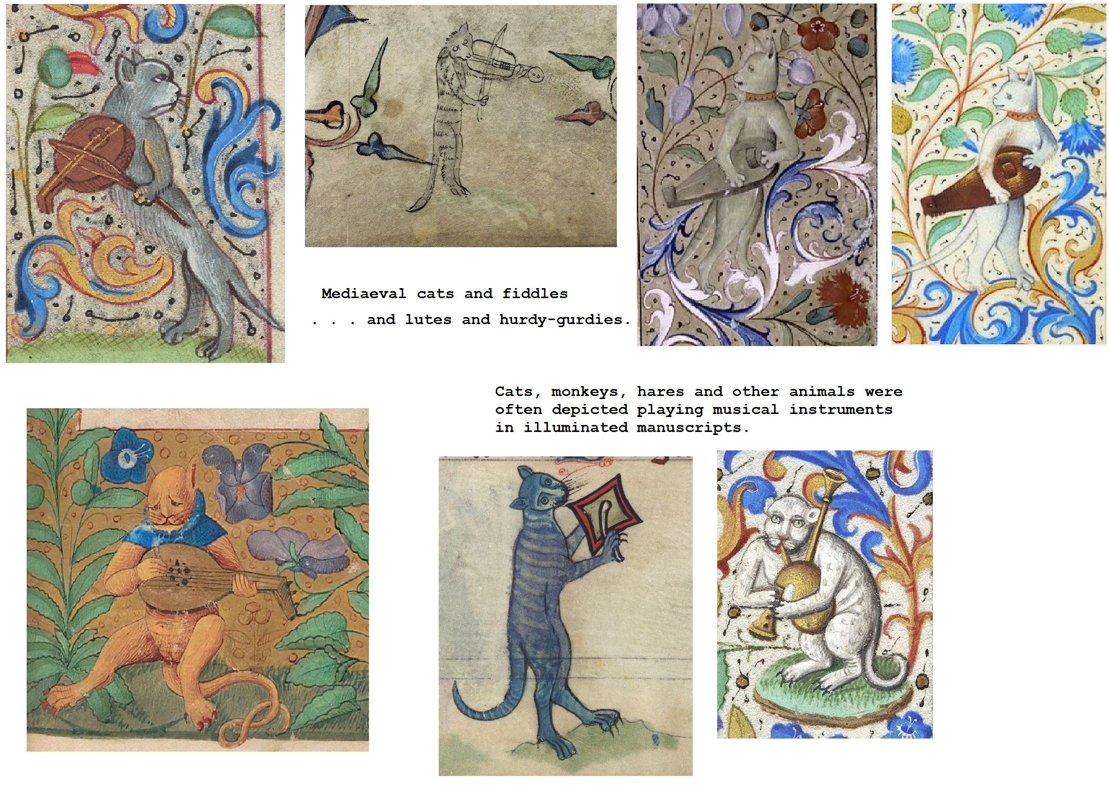 medieval cat and fiddle illustrations