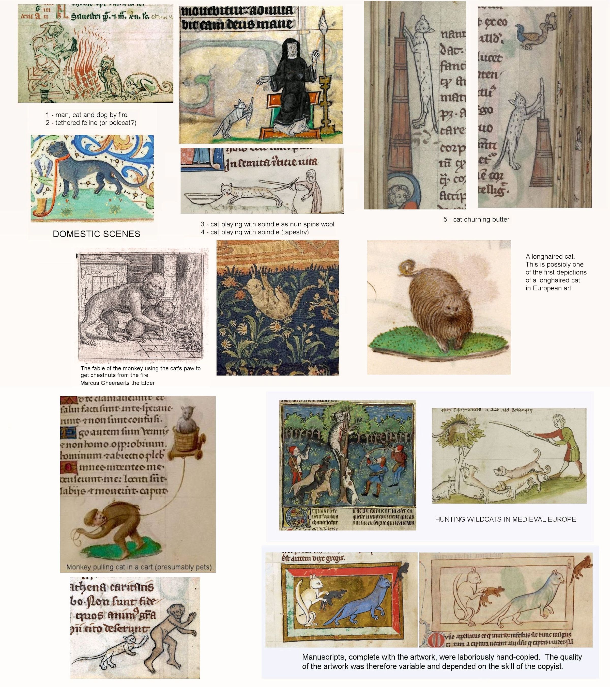 medieval cat illustrations