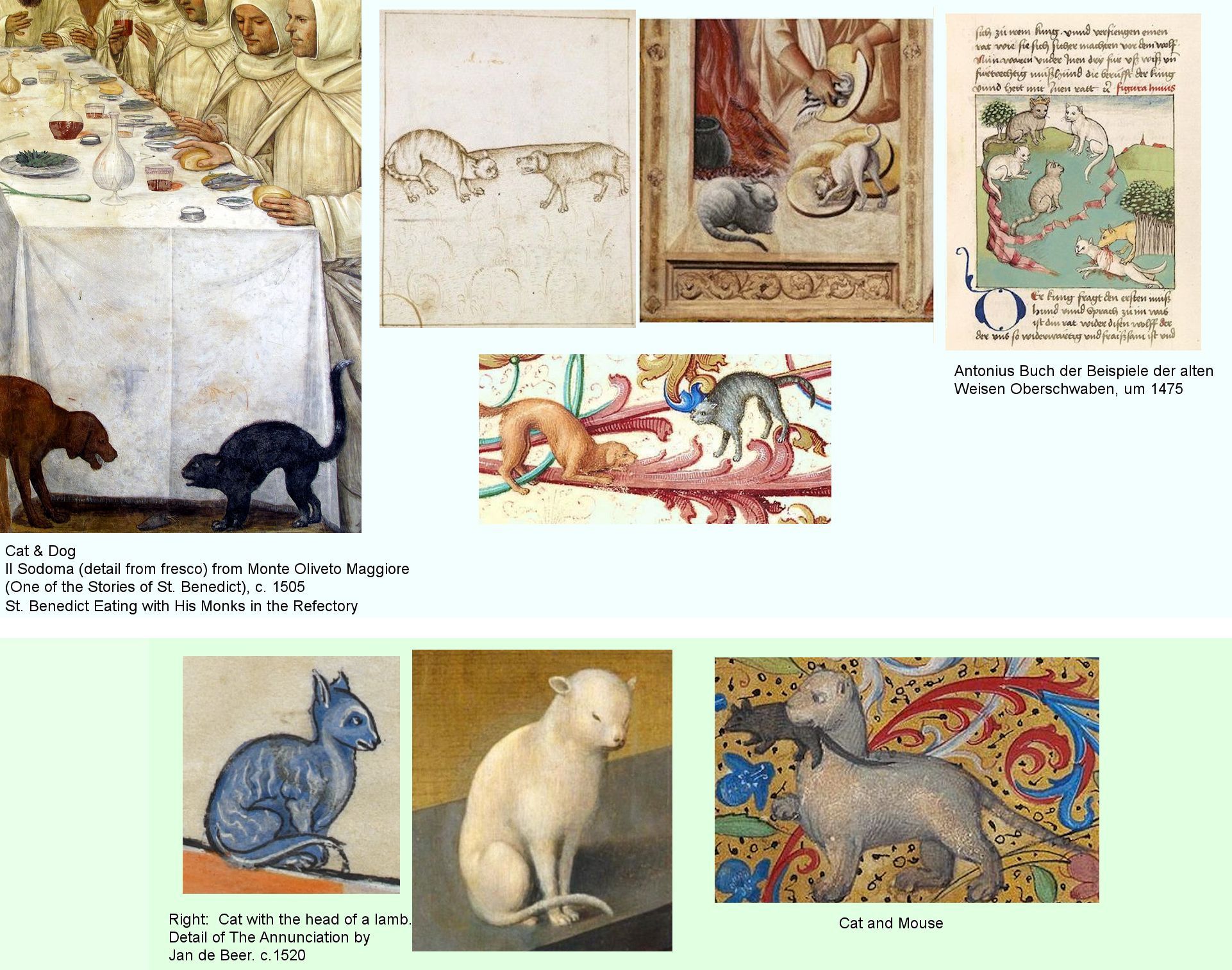 medieval cat illustrations