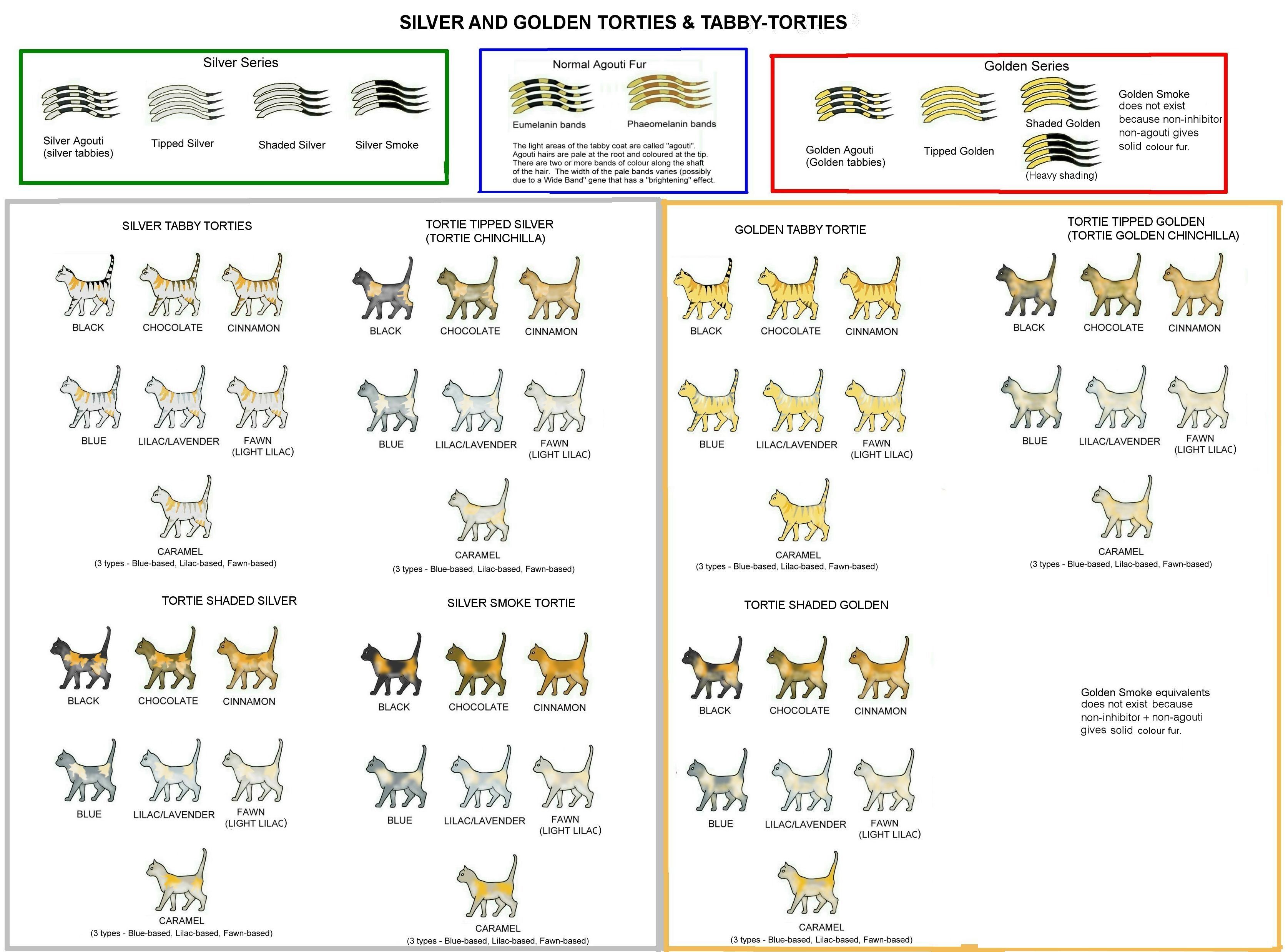 COLOUR AND PATTERN CHARTS