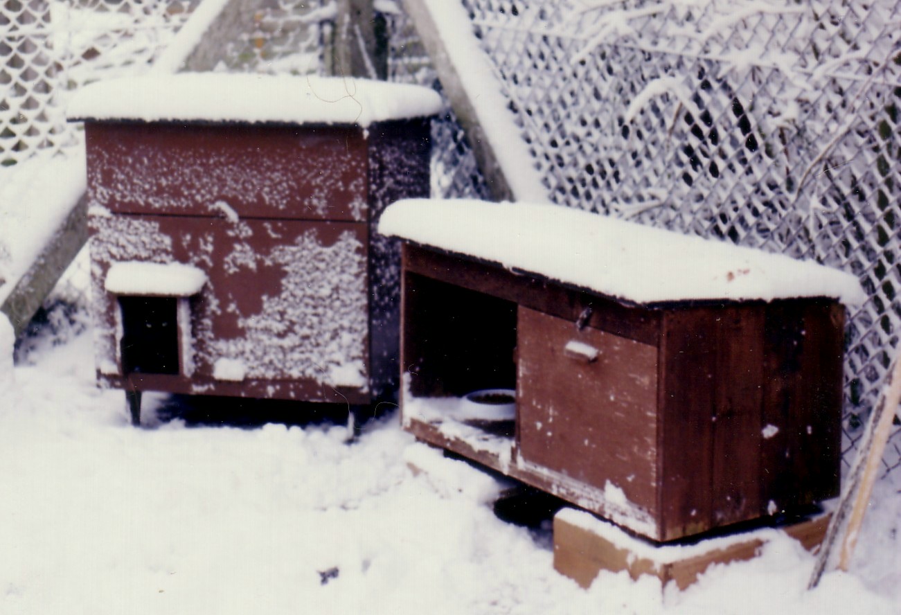 Winter Shelter Bins for Community Cats FAQ