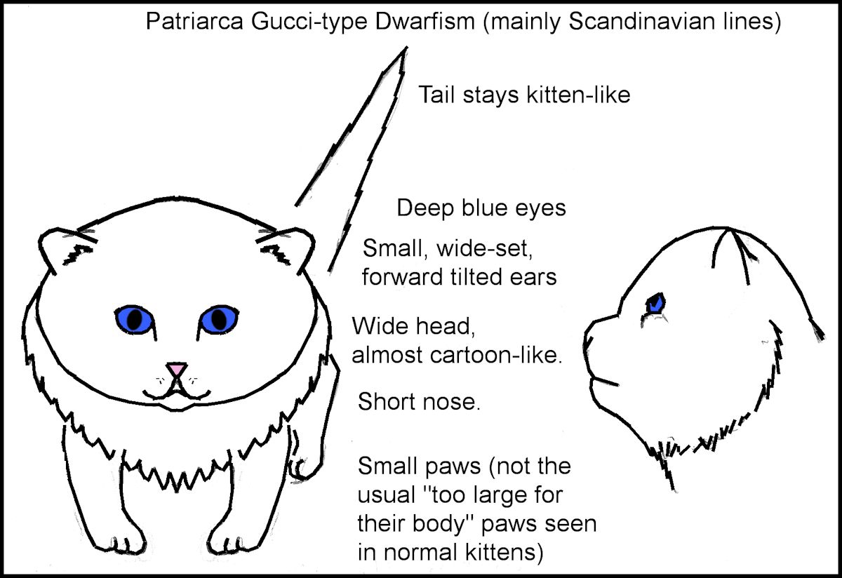 feline dwarfism