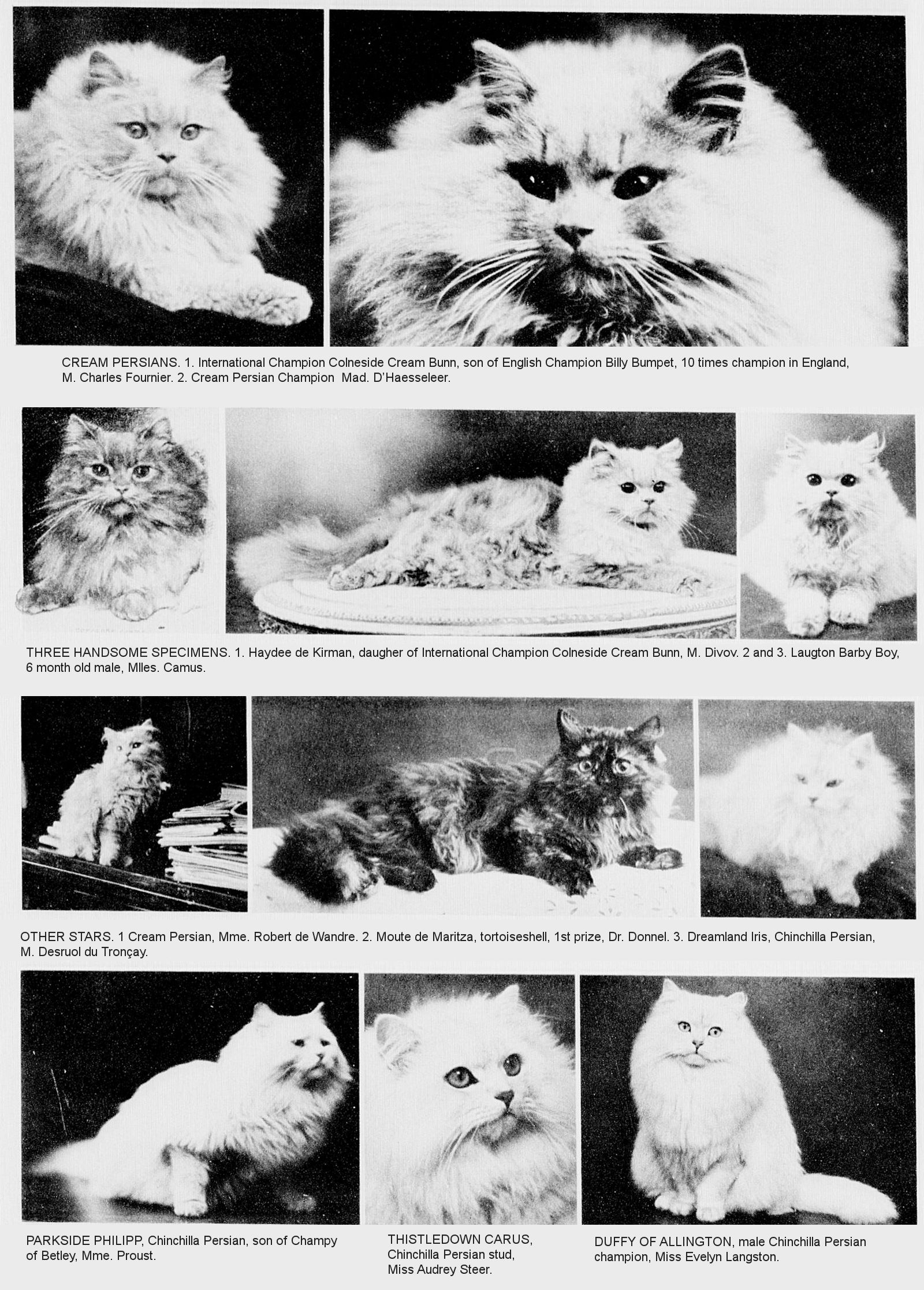 HIS HIGHNESS THE CAT Country Life, and Farms and Chateaux (Vie a la  Campagne, 15th April, 1935.)