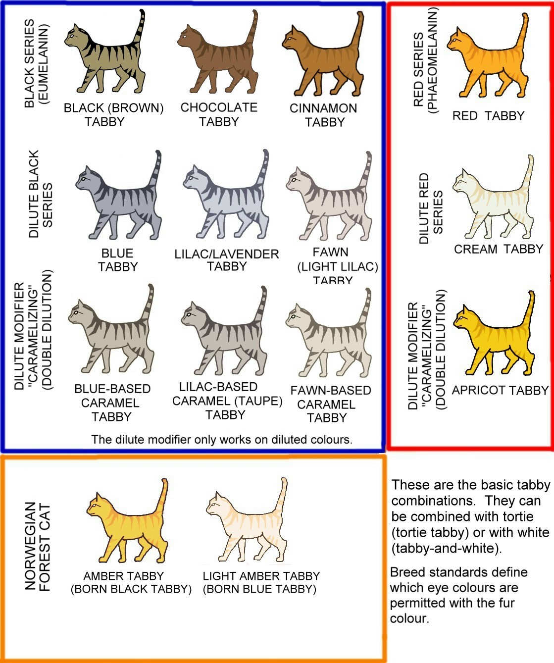 Cat COLOUR AND PATTERN CHARTS and article, very detailed and thorough