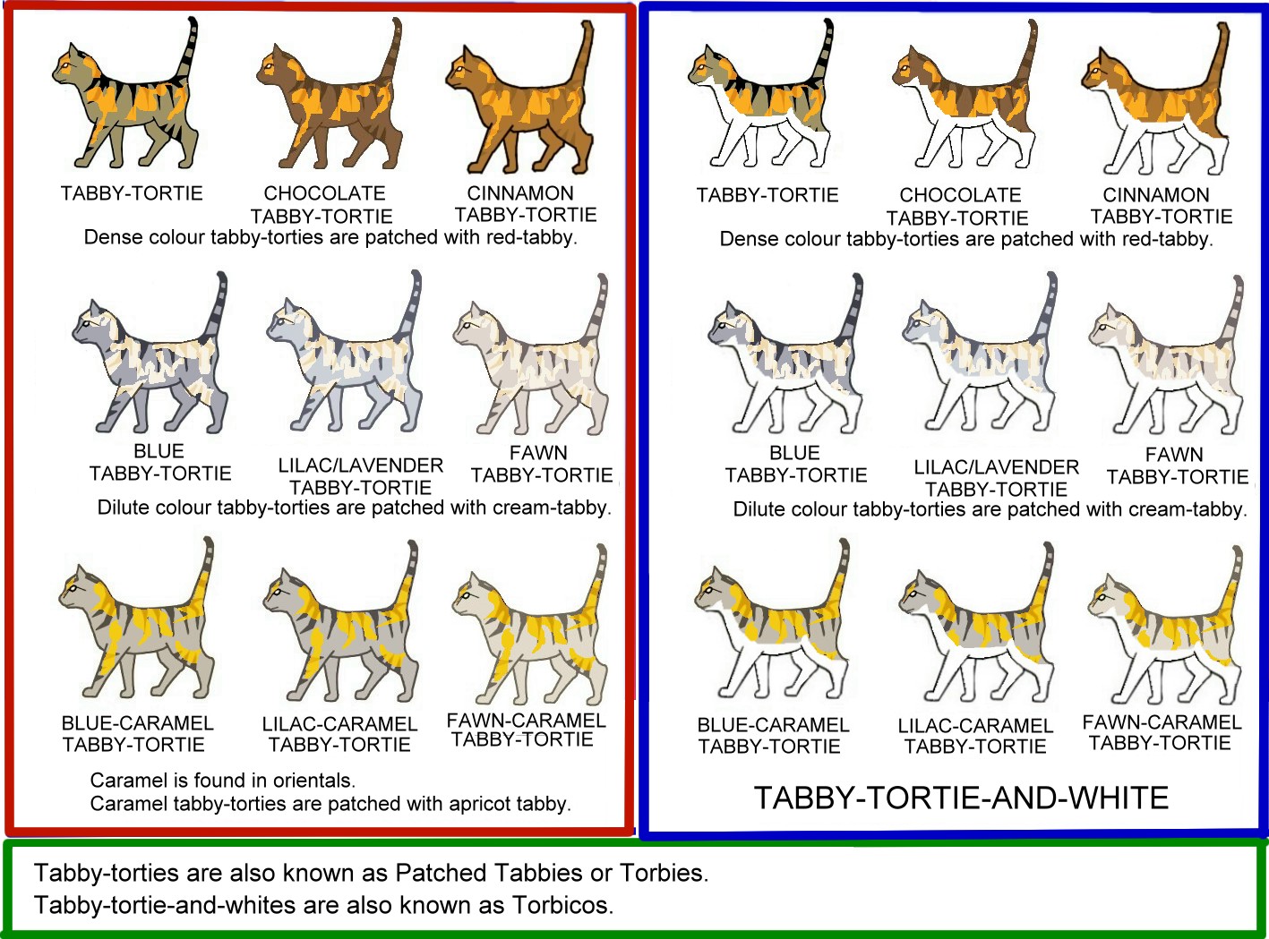 cat colours diagram chart