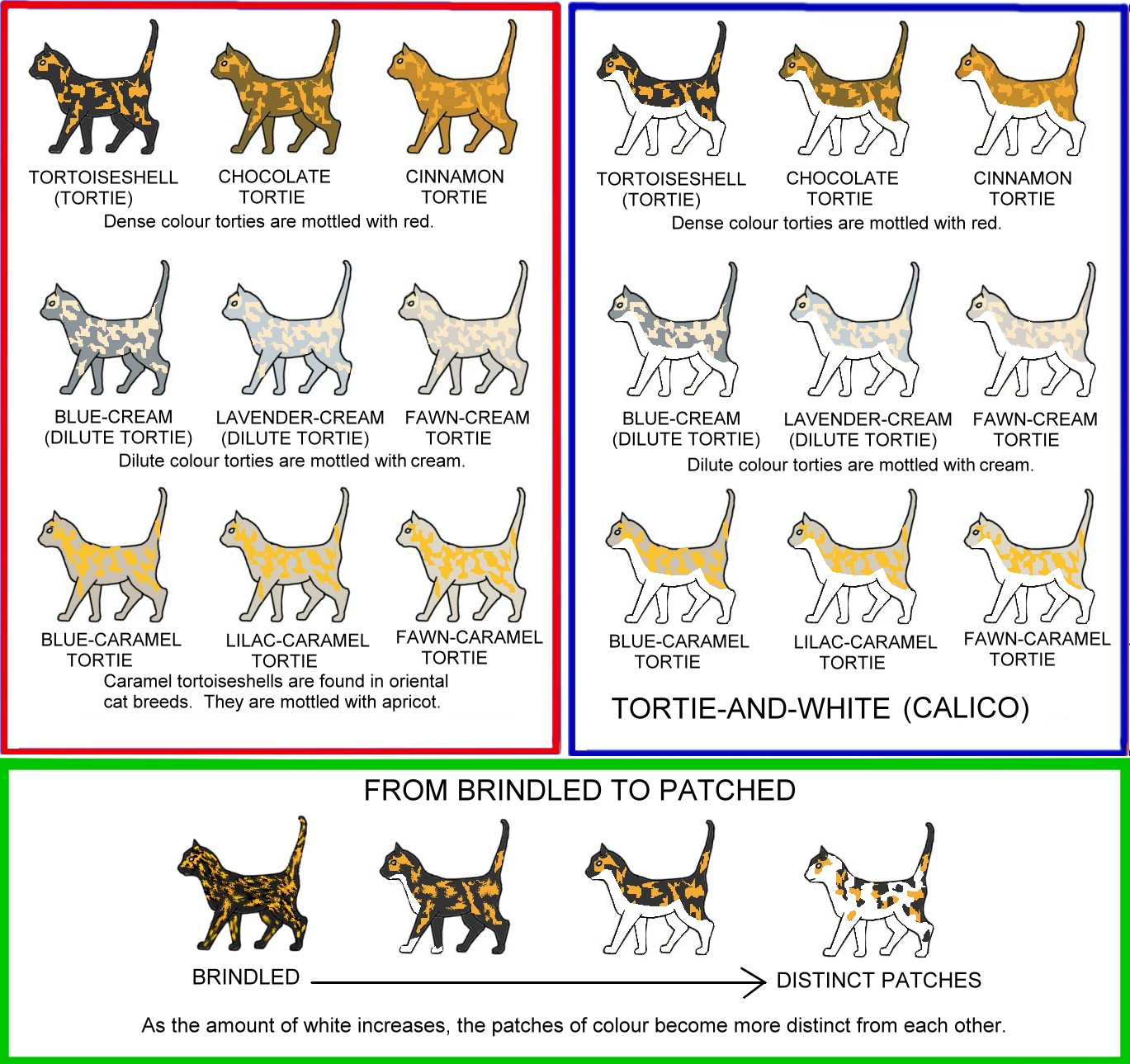 Brindle Color Chart