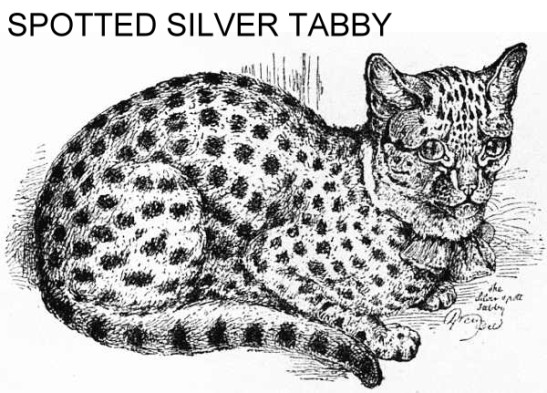 Leopard Charcoal/Bronze Bag Strap - Silver Fixings - Willow & Fox Maldon