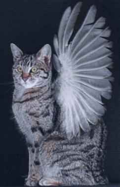 winged cat mythology